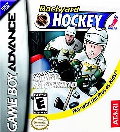 Backyard hockey game - backyard,