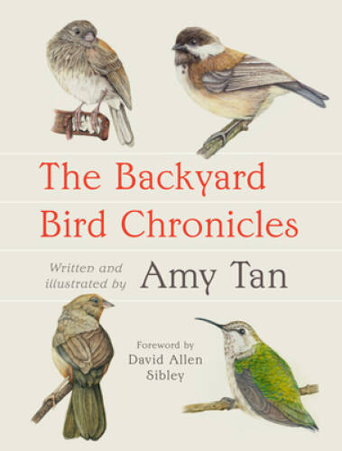 The backyard bird - the,