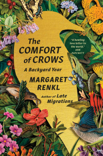 The comfort crows a - the, of
