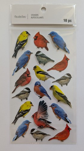 Backyard birds scrapbooking - backyard,