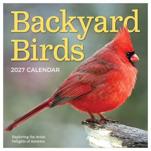 2027 backyard birds wall - backyard,